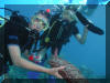 Holding sea cucumbers