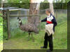 What's the diference between an ostrich and an emu